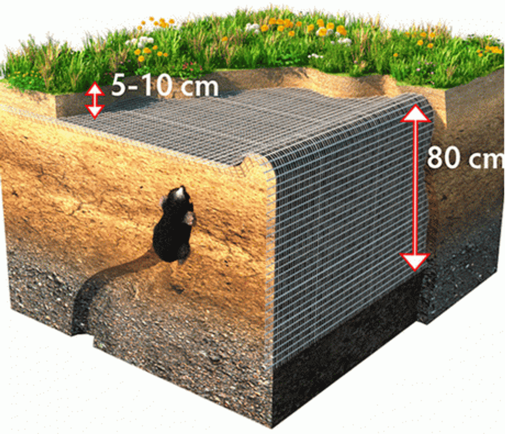 Сетка от кротов. Вольерная 2х100м. ячейка 12х14мм.