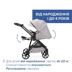Универсальная коляска 2 в 1 Chicco Seety