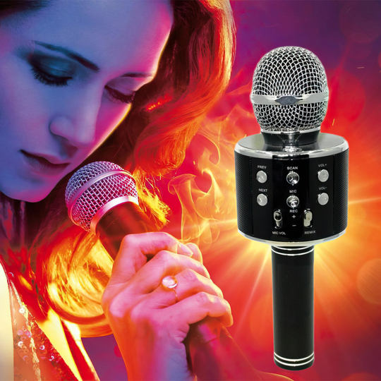 Караоке - мікрофон WS 858 microSD microSD FM радіо чорний/HA-50