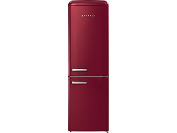 Двокамерний холодильник Gorenje ONRK 619 DR