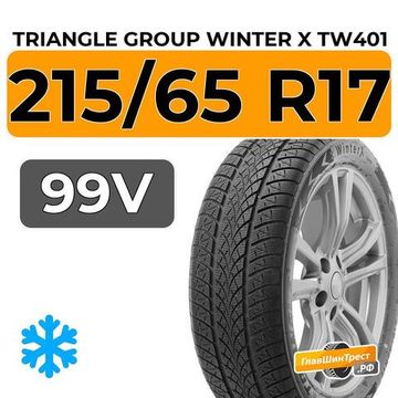 Triangle Group Winter X TW401 215/65 R17 99V