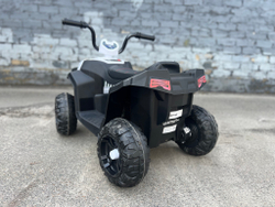 Детский электроквадроцикл "WeKids Cars"