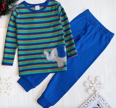 Костюм 2в1: реглан, штани "Слоненя", бавовна ТМ "Pusblu" (110 см)