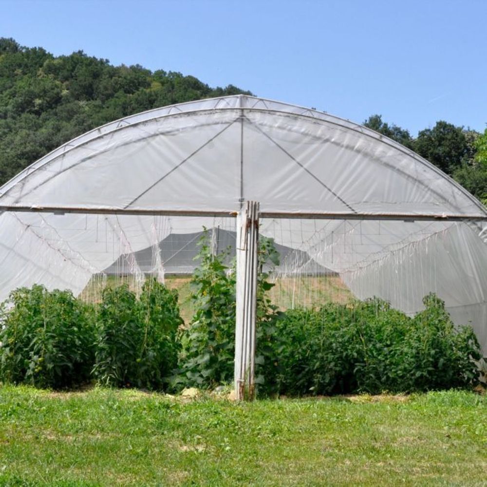 Пленка тепличная (белая), 90мкм, 3м/100м. Прозрачная (парниковая, полиэтиленовая)