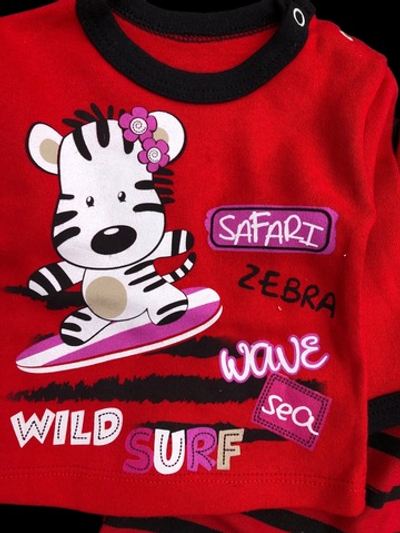 Костюм 3в1: світшот, штани, шапочка, бавовна, двунитка з начосом