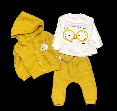 Костюм 3в1: кофта з капюшоном, штани, реглан "Cute", бавовна, двунитка з начосом ТМ "Anilco" (68 см)