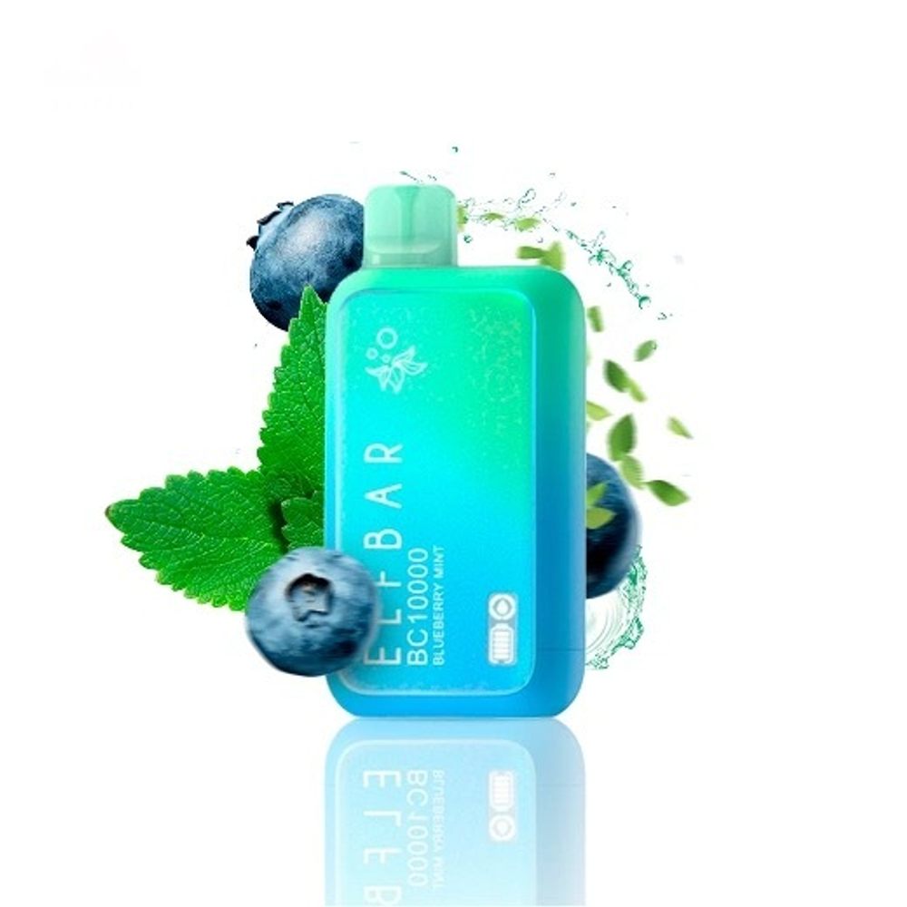 Elf Bar BC10000 - Blueberry Mint  (5% nic)