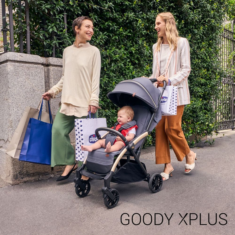 Прогулочная коляска Chicco Goody XPlus