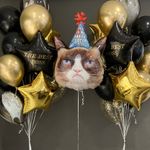 Кульки на день народження для Боса сумний кіт
