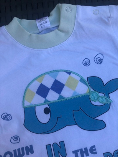 Костюм 2в1: футболка, шорти, кулір ТМ "V-Tex" (80 см)