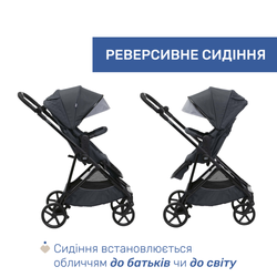 Универсальная коляска 2 в 1 Chicco Seety