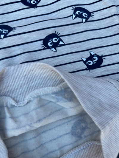 Світшот, двунитка з начосом ТМ "Hacall"