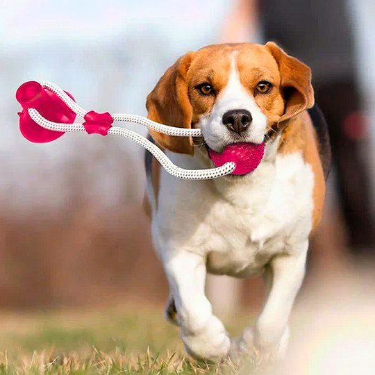 Игрушка на присоске с мячом для собак розовая