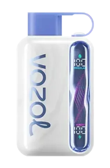 VOZOL STAR 40000 - Blueberry Mint (5% nic)