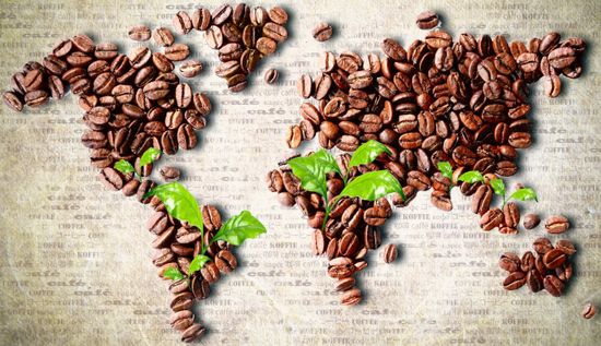 Кофе по регионам - где выращивают самые вкусные кофейные зерна