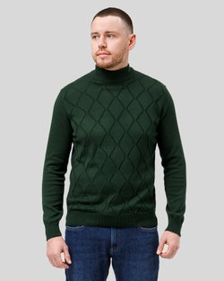 Джемпер чоловічий темно-зелений (арт. 7662300302)