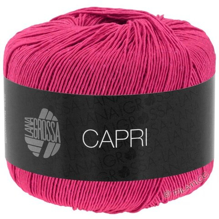 CAPRI 033