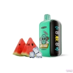 Elf Bar GH23000 - Watermelon Ice (5% nic)