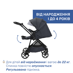 Универсальная коляска 2 в 1 Chicco Seety