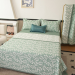 Покрывало двухстороннее и две наволочки Aurora Veil PAV006