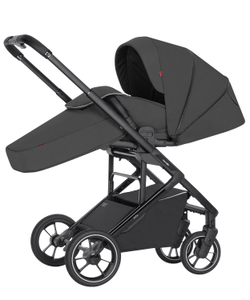 Універсальна коляска 2 в 1 Carrello Alfa CRL-6507