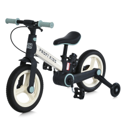 Детский велосипед-трансформер Profi Kids MB 1021 с родительской ручкой