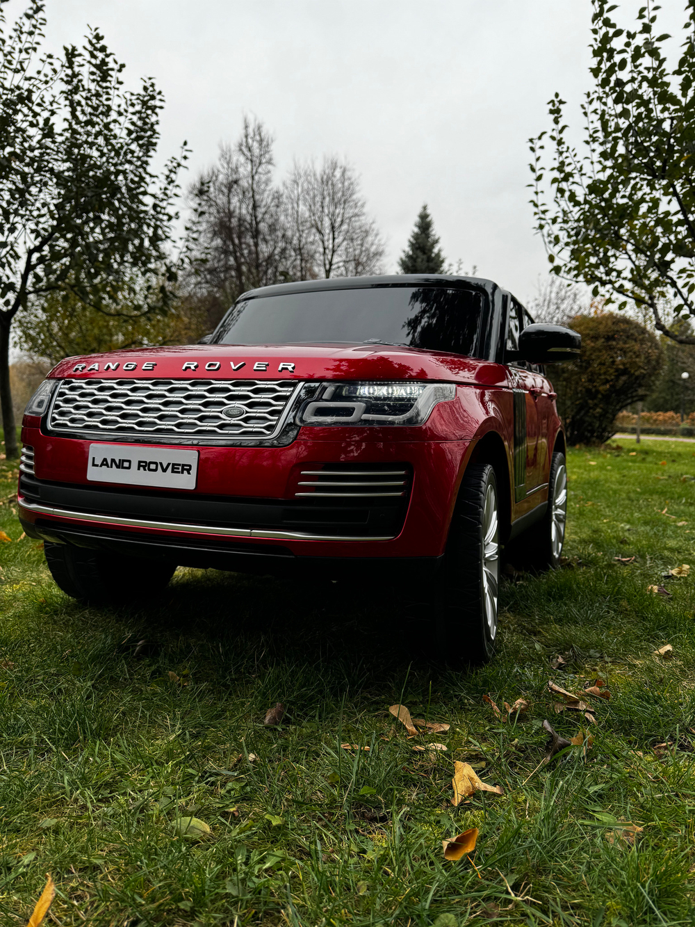 Дитячий двомісний електромобіль джип Land Rover 140W "WeKids Cars" з автофарбуванням