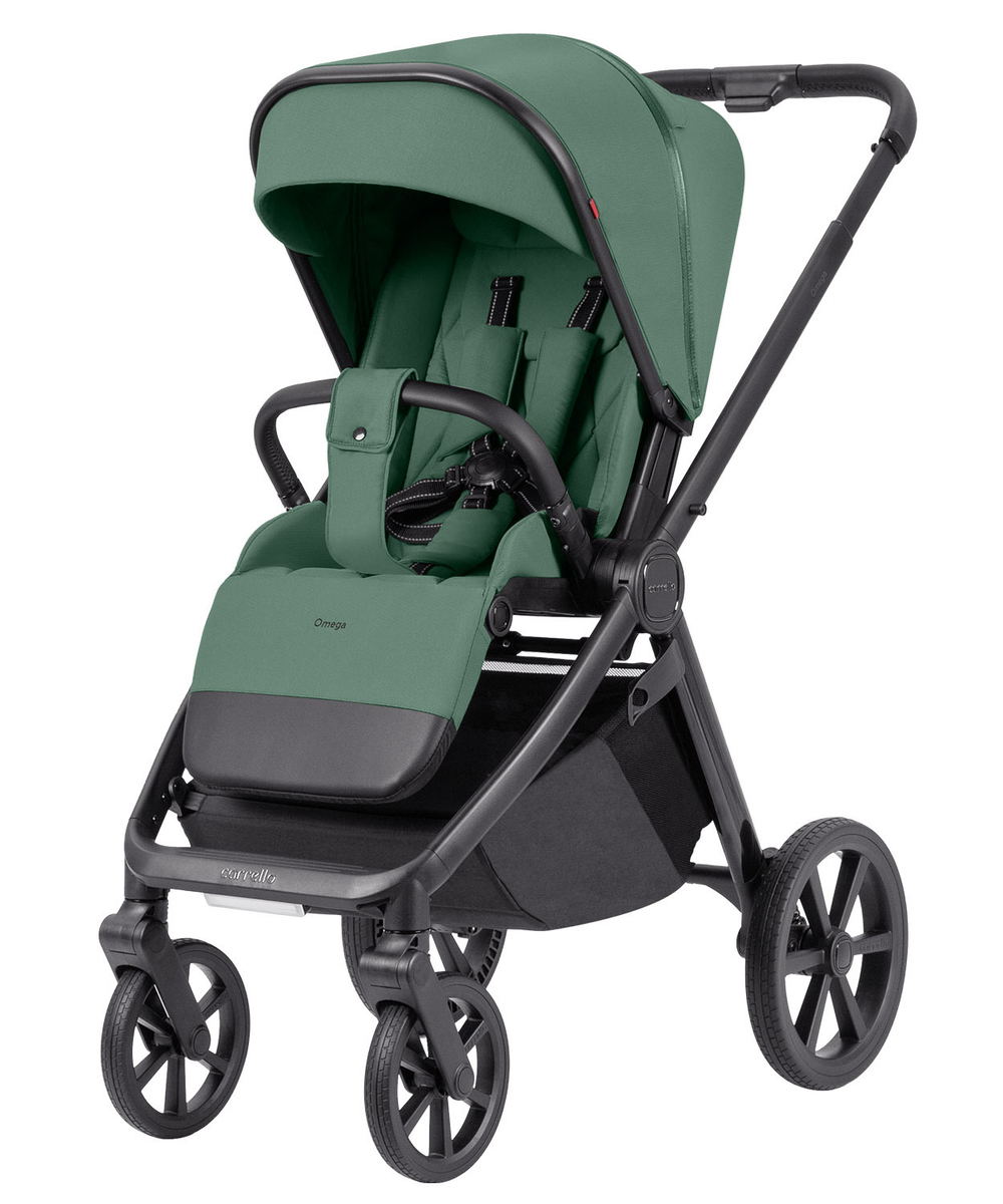Універсальна коляска 3 в 1 Carrello Omega + CRL-6545/1
