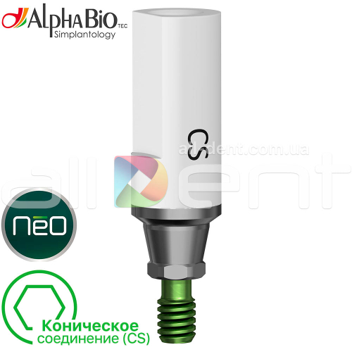 Скан-Трансфер | Коническое стандартное соединение (CS)