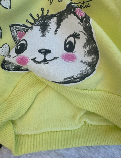 Костюм 2в1: світшот, штани "Ballet", трьохнитка з начосом ТМ "BNN"