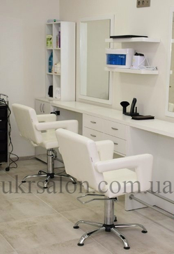 Парикмахерское кресло Flamingo 2