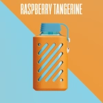 VOZOL GEAR 10000 Raspberry Tangerine 5% nic