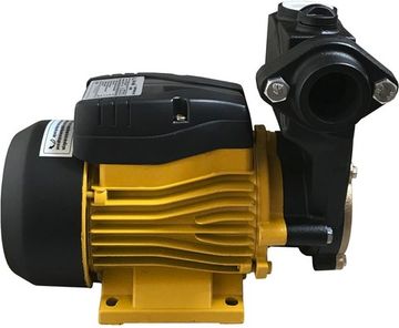 Вихровий насос Optima TPS60 N (000014281)