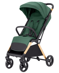 Прогулянкова коляска Carrello Cross CRL-5523