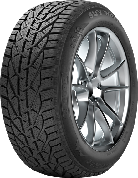 Tigar Winter 165/70 R13 79T