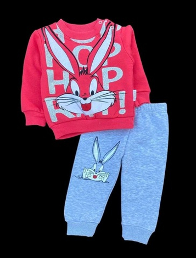 Костюм 2в1: світшот, штани "Бані", трьохнитка з начосом ТМ "Pepelino" (68 см)