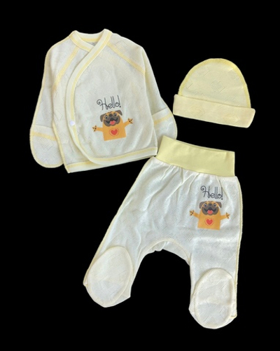 Комплект 3в1 "Принт", рібана трансфер: льоля, повзунки, шапочка ТМ “Happy ТОТ” (56 см)