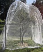 Защитная сетка от птиц 5х6 м (20х20мм). Белая. уф-стабилизированная