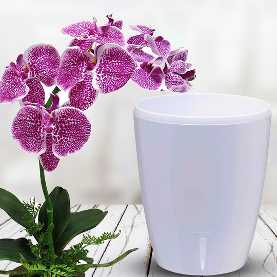 Горщик-орхідейниця для квітів з автополивом "ORHIDEA TWIN" 15*12,5 см білий
