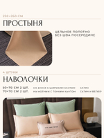 Комплект постельного белья Сатин Velvet Premium с Одеялом VP012