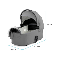 Универсальная коляска 2 в 1 Kinderkraft Nea