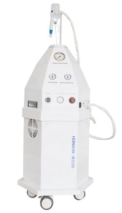 Газожидкостная система M206