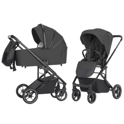 Універсальна коляска 2 в 1 Carrello Alfa CRL-6507