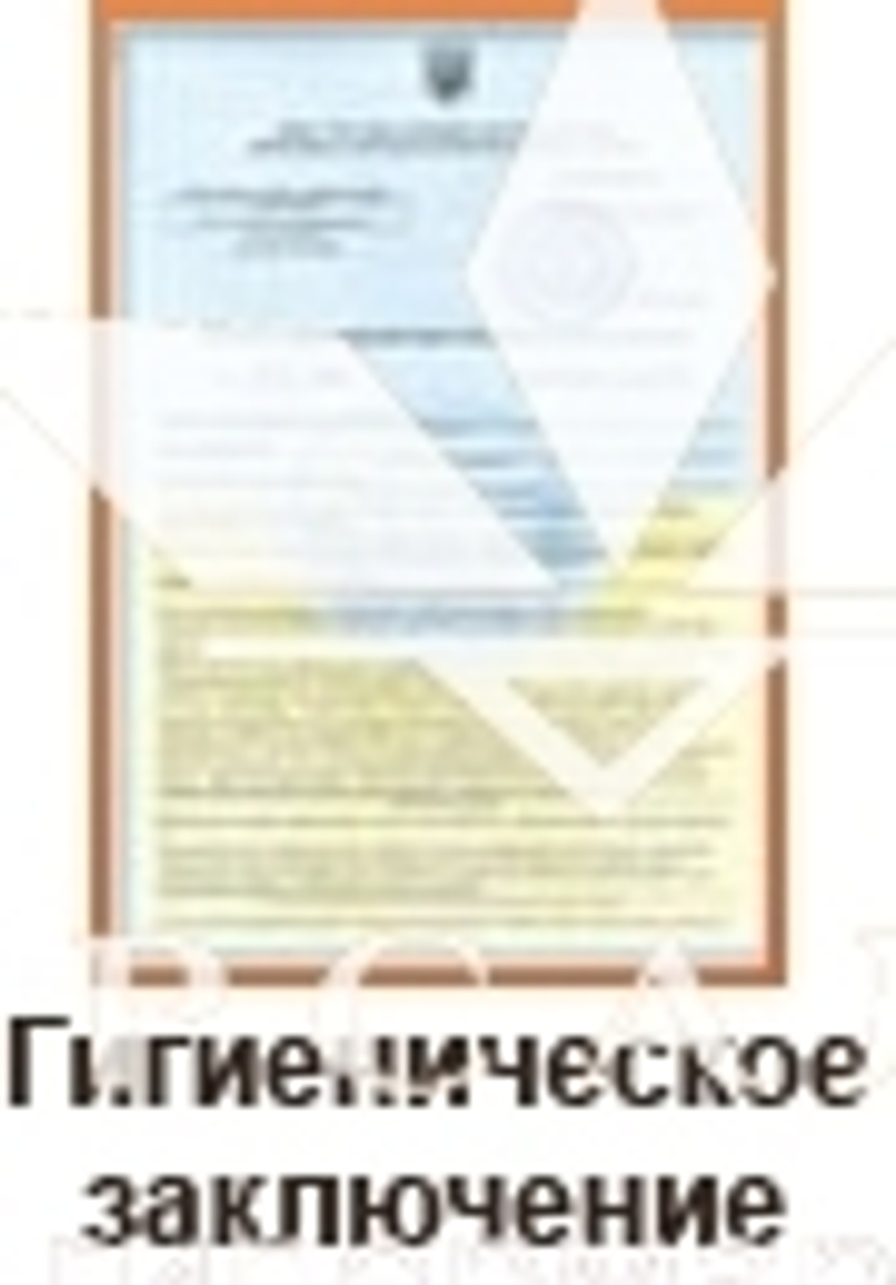 Стілець майстра 171