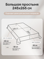 Комплект постельного белья Однотонный Сатин Элитный OCE002