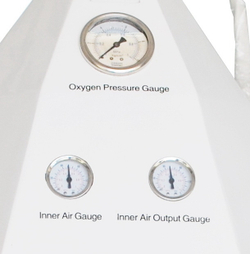 Газожидкостная система M206