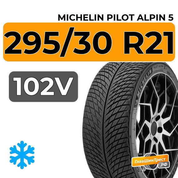Michelin Pilot Alpin 5 295/30 R21 102V XL