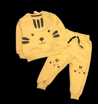 Костюм 2в1: світшот, штани "Тигреня" трьохнитка з начосом TM "Favo" (74 см)