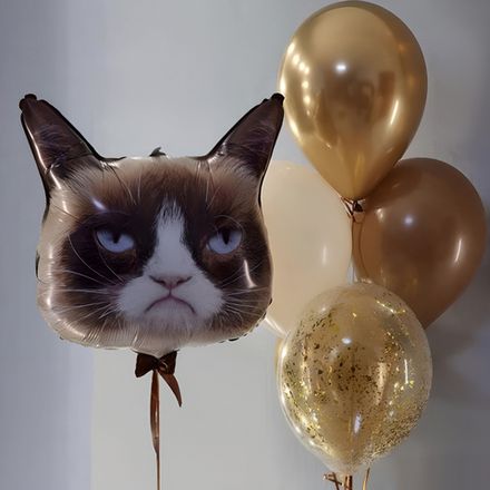 Шарики с гелием на день рождения «Угрюмый Кот»
