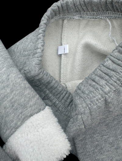 Костюм 2 в 1: світшот з капюшоном, штани "Песик", двунитка з начосом ТМ "Goknes"